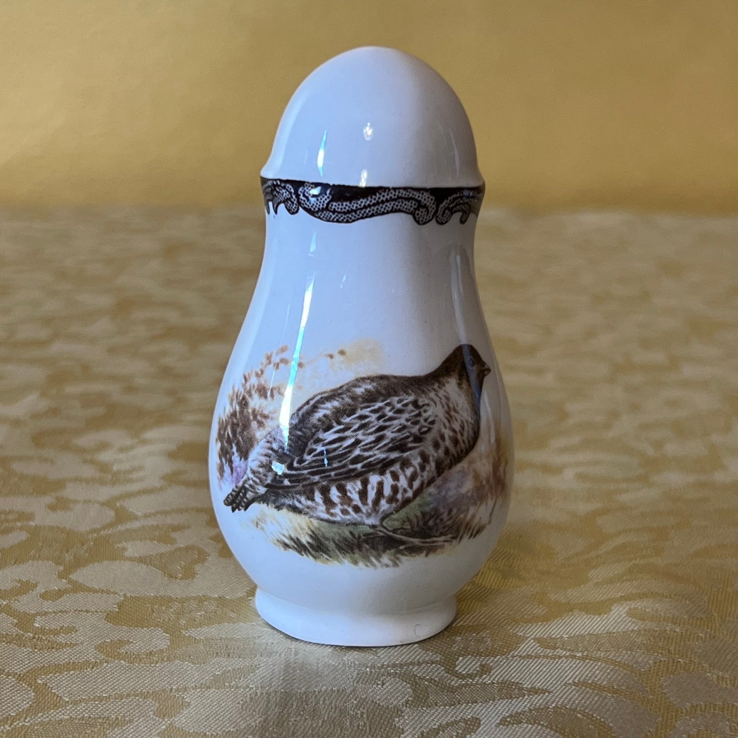 Vintage Royal Worcester Palissy Gaming Series Salt Shaker