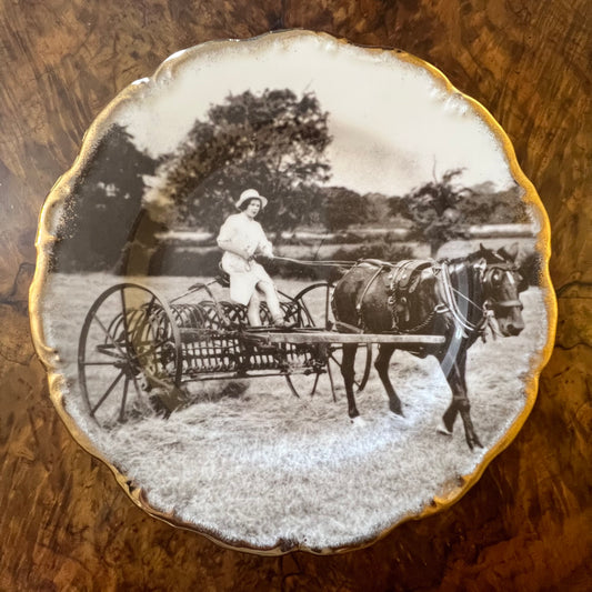 Staffordshire England Pony & Horse Rake 1940 Plate