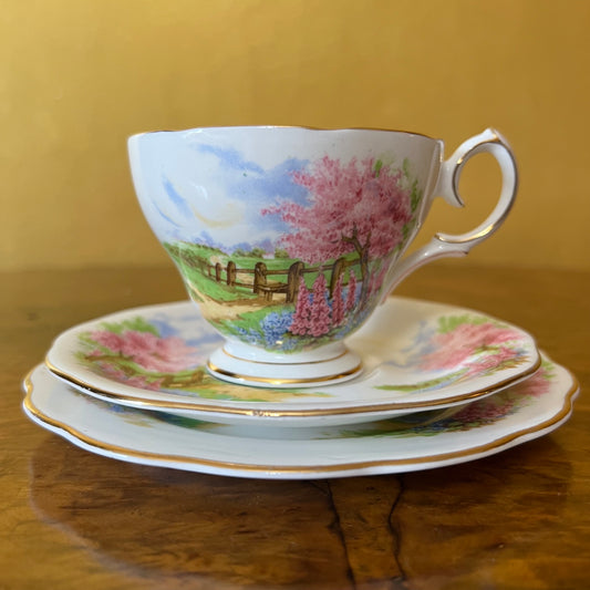 Vintage Queen Anne Meadowside Tea Cup Trio Set