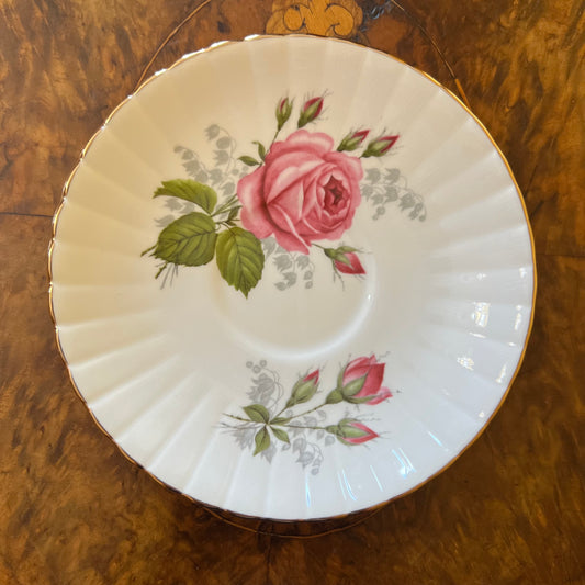 Salisbury Pink Rose Saucer