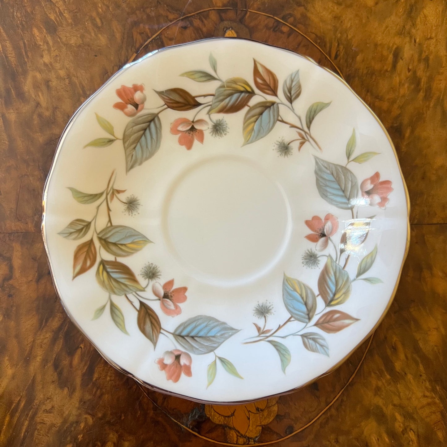 Royal Adderley Beechwood Saucer 