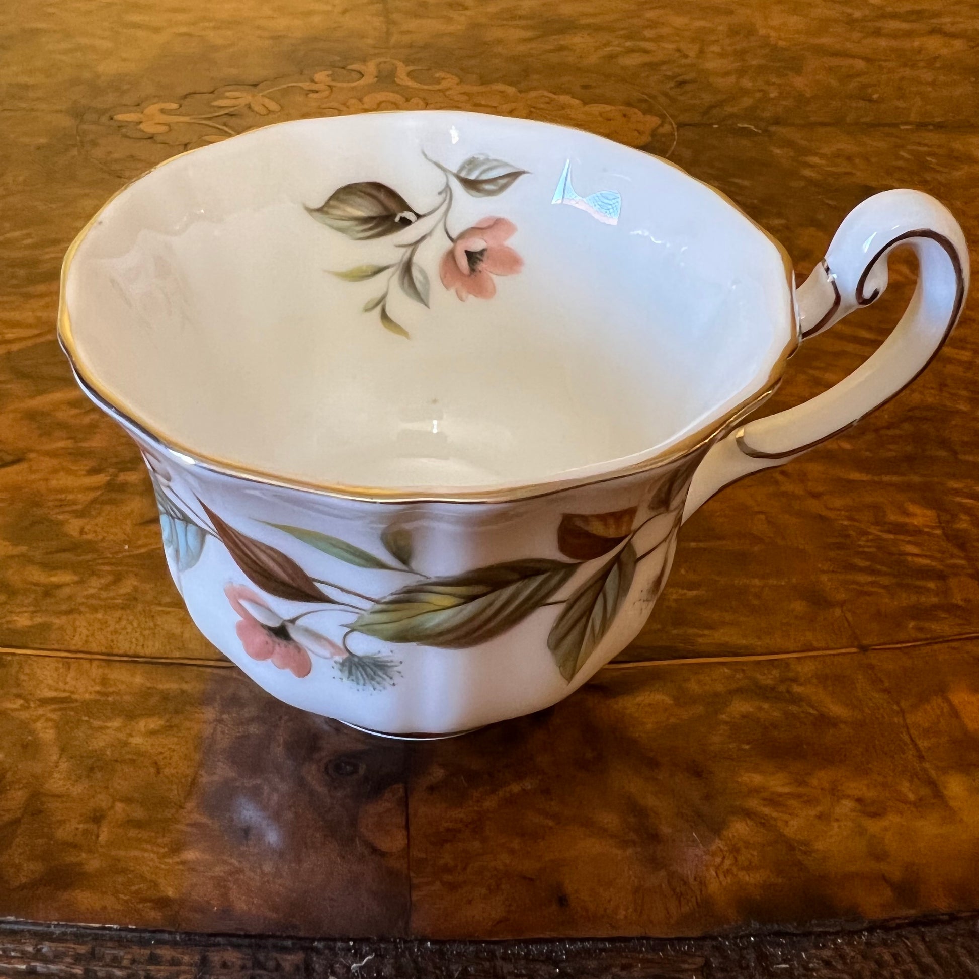 Royal Adderley Beechwood Tea Cup