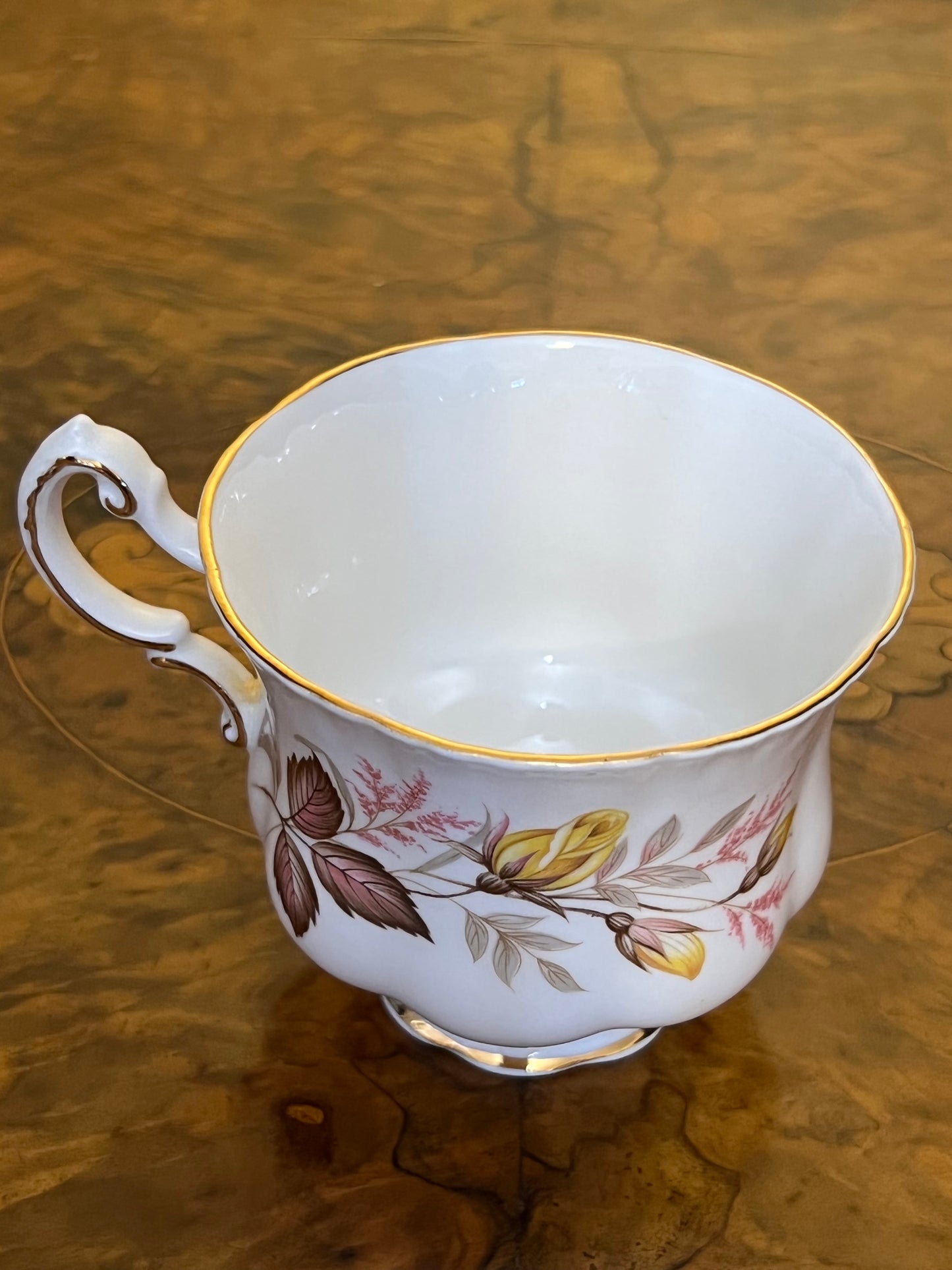 Vintage Paragon Rhapsody Tea Cup 