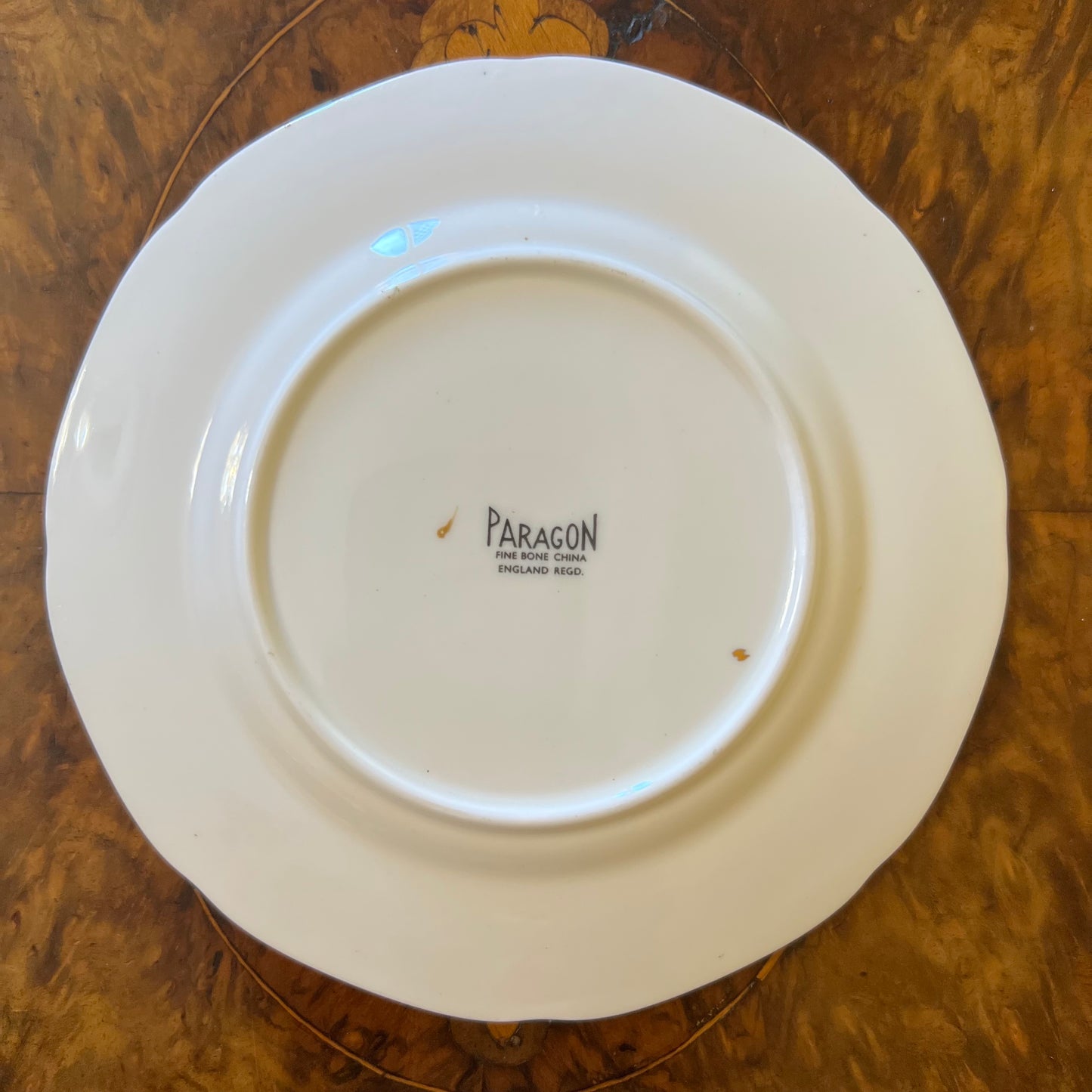 Vintage Paragon Tapestry Rose Plate