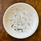 Vintage Wedgwood Wild Oats Side Plate